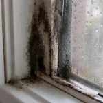 ka-drosi-notirit-koksni-no-pelejuma-restauracijas-eksperti-atklaj-savus.webp.webp